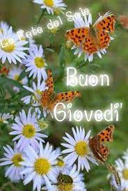 Immagini buongiorno con farfalle e fiori bianchi. Buongiorno Buon Giovedi Immagini Giardino Delle Farfalle Immagini Religiose