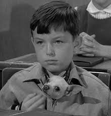 Episode 23: Beaver and Poncho