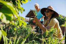 More tree houses may be in Hawaii's future: A new design aims to make  stores, cafes and bars mimic nature with a sustainable structure.