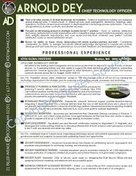 Technology Executive Business Continuity Cover Letter For Resume Proactive