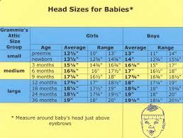 Newborn Head Diameter Diagram Wiring Diagram