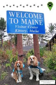 Pet Friendly Portland Maine Travel Guide With Images Maine Travel Portland Maine Travel