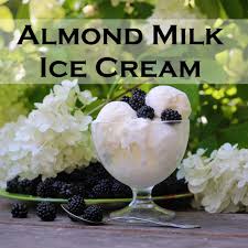 Almond Milk Ice Cream Recipe Delicious Non Dairy Ice Cream Recipe Almond Milk Ice Cream Recipe Almond Milk Ice Cream Milk Ice Cream