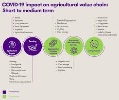 The sector is facing a lot of hardships in trying to reach out the wide and diverse market which is flooded. Covid 19 S Impact On India S Agricultural Sector