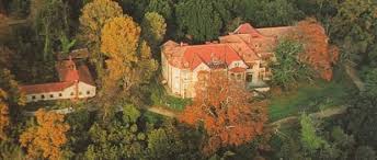 Σχεδόν 100 άτομα κατεβαίνουν από τα λεωφορεία και περνούν μέσα από το φυσικό άνοιγμα που σχηματίζουν τα δέντρα ή μέσα από μια τρύπα που. Apodrash Sta Basilika Kthmata Tatoioy Vrilissianews Gr