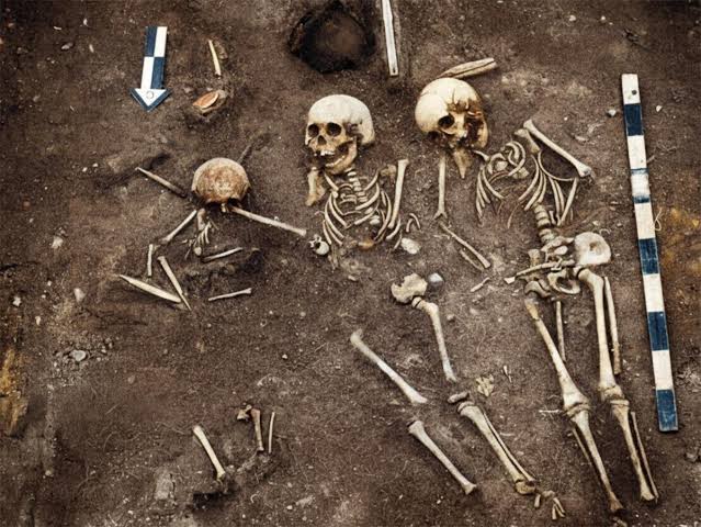 5,500-year-old plague outbreak killed Siberian hunter-gatherers, ancient  DNA reveals | Archaeology News Online Magazine