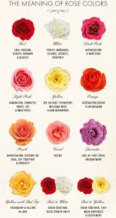 Meaning Of Roses Rose Color Meanings Flower Meanings Language Of Flowers
