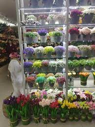 Maybe you would like to learn more about one of these? 9184 Luolita Pu Real Touch Flowers Manufacturer