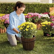 Discover more home ideas at the home depot. The Home Depot Garden Center Home Depot Outdoor