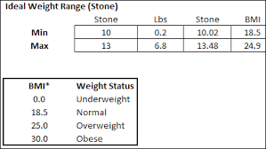 Excel Weight Loss Tracker In Stone Contextures Blog