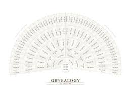 Genealogy Fan Chart Adobe Illustrator Template By