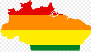 Two suspected cheats fished out of g12 english exam. Brasil Bandera De Brasil Bandera Imagen Png Imagen Transparente Descarga Gratuita