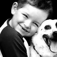 COMPANION CARE VETERINARY CLINIC