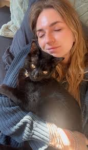 Holistic vets in Woodland Hills for senior cats