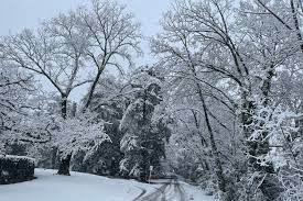 This period is based on coordinated universal time (utc), which for practical. Today S Winter Solstice Marks The Shortest Day Of The Year But Expect Dark Mornings For A Little While Longer Abc News