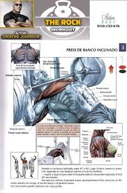 Press De Banco Inclinado Inner Thigh Workout Chest Workouts Biceps Workout