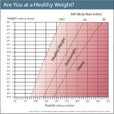 how the obesity paradox works howstuffworks