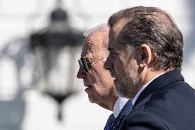 Image result for Bidens elliotii