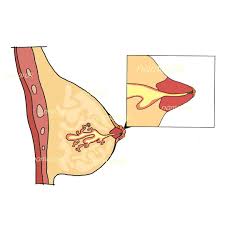 Maybe you would like to learn more about one of these? Namarak Hospital