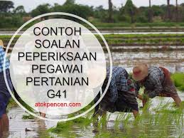 Permohonan online & semakan keputusan kemasukan ke institut pertanian semenanjung malaysia (ipsm). Contoh Soalan Peperiksaan Pegawai Pertanian G41 Atokpencen Com