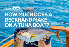 Nova tv kayru i kaana upoznali smo u ulogama guneš i atlasa! How Much Does A Deckhand Make On A Tuna Boat Salary