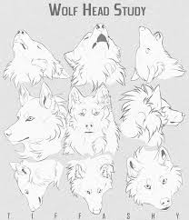 Anime Art Reference Tutorials On Instagram Follow Arttoolbook For More Credits To Tiffashi Ar Canine Drawing Animal Drawings Sketches