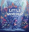 Little Wonder: 9781797208121: Keane, Claire: Books - Amazon.com