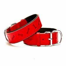 doggie yumusak dokulu kemik desenli kopek boyun tasmasi kirmizi sbt 4035 l amazon pet center siyah kahve amazonlar kirmizi