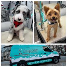 We are located at 2301 Wade Hampton blvd Greenville SC ste1 directly across  from the PAPA BEAR 🐻 🚗 wash