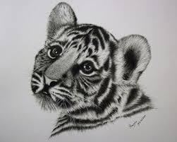 Pin On Drawings