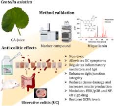 Image result for Centella glabrata