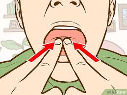 How do you whistle from your mouth? Mit Den Fingern Pfeifen 12 Schritte Mit Bildern Wikihow