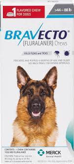 Once your pup eats their bravecto treat or removes their topical gel, the ingredients immediately make their way to the fluid within your dog's tissue. Bravecto For Dogs Review 2019 Paws Up Or Down