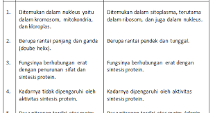 Soal dan kunci jawaban materi mutasi sma kelas xii. Contoh Soal Essay Biologi Kelas Xii Semester 1 Beserta Jawaban Part 3 Kumpulan Soal Materi Sekolah