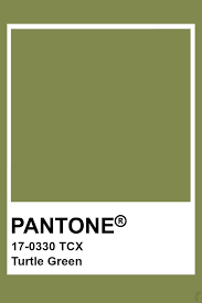 Download paint swatch color palette files paint swatch downloads and libraries for adobe software, indesign (id), jpg & jpeg files, autocad, autodesk revit, sketchup and more files for any photo editing software. Pantone Turtle Green Pantone Green Pantone Colour Palettes Pantone Color