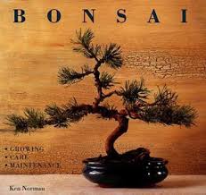 Create Your Own Bonsai book by Ken Norman