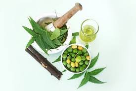 Benefits of neem oil for hair and skin: Can We Apply Neem Oil Directly On Hair Benefits Effects Natural Hair Care Guides