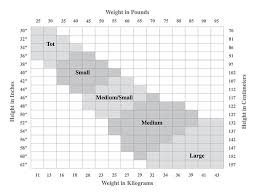 capezio hosiery size charts