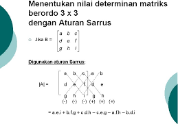 Untuk programnya, silahkan lihat syntax ini. Pertemuan Ii Determinan Matriks Pengertian Determinan Determinan Dinyatakan