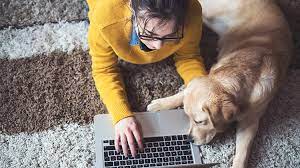 Many major insurance companies, like allstate, include pet damage or injury as part of their renters insurance in most states. How Pet Medical Insurance Can Help You Budget State Farm