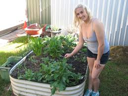 Birdies Raised Garden Beds Colours Cindy S Garden Diary Cindy S Green Spectrum For Everything Green