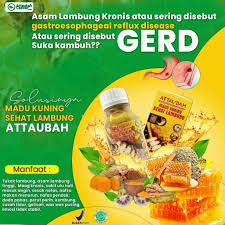 Jika sudah dalam kondisi seperti ini, anda harus lebih waspada dan jangan. Madu Obat Maag Asam Lambung Dan Gerd Kronis Herbal Paling Ampuh Naik Nafas Sesak Attaubah Shopee Indonesia