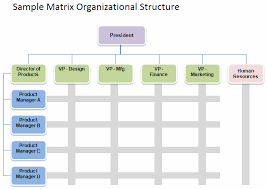 sample matrix organizational structure organizational