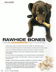 K9 Instinct Blog K9 Instinct Holisitic Dog Health Care Blog