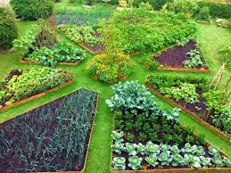 Wedge Shaped Kitchen Garden Design Vegetable Garden Design Garden Layout Garden Layout Vegetable