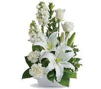 Send your heartfelt sympathy with the most thoughtful of condolence gifts, lovingly arranged by flowercard and delivered direct to their door with care. 26 Condolence Wreath Singapore Ideas Flower Delivery Sympathy Flowers Funeral Flowers