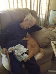 from reddit the poster there says my 100 year old grandpa and his 17 year old cat old cats cats animals