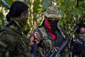 El artículo 62 de la ley orgánica de la fanb. Detienen 11 Miembros Del Eln En Venezuela Periodico El Sol Colombia