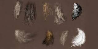 Photoshop brushes, gradients and styles ready to download for your design projects. 25 Sets Of Fur And Hair Photoshop Brushes
