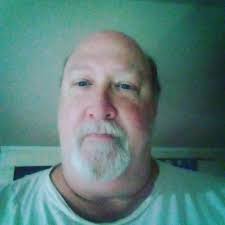 Birds in the engine bay of a truck